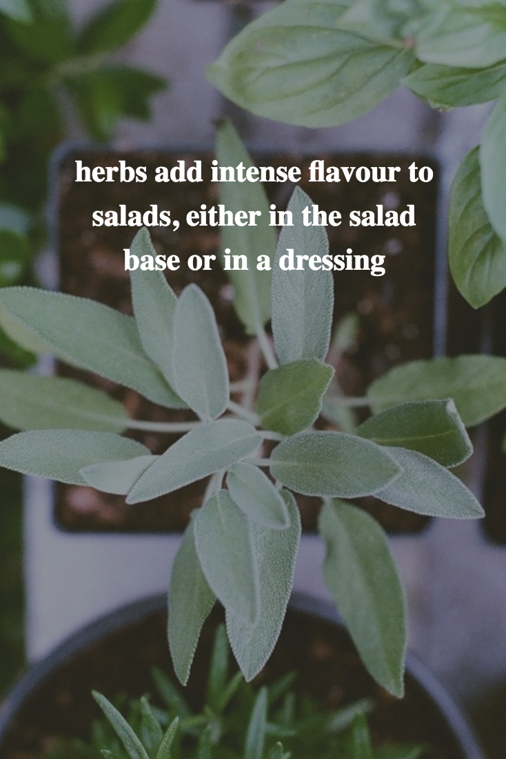salad-ideas