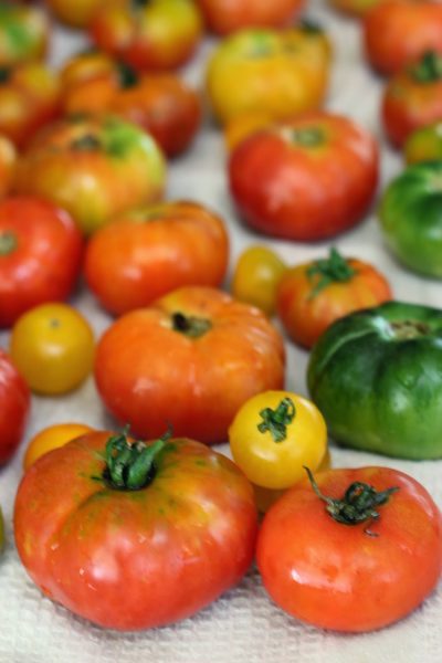 Tomato Chutney for Idli & Dosa | Homemade Spicy South Indian tomato chutney